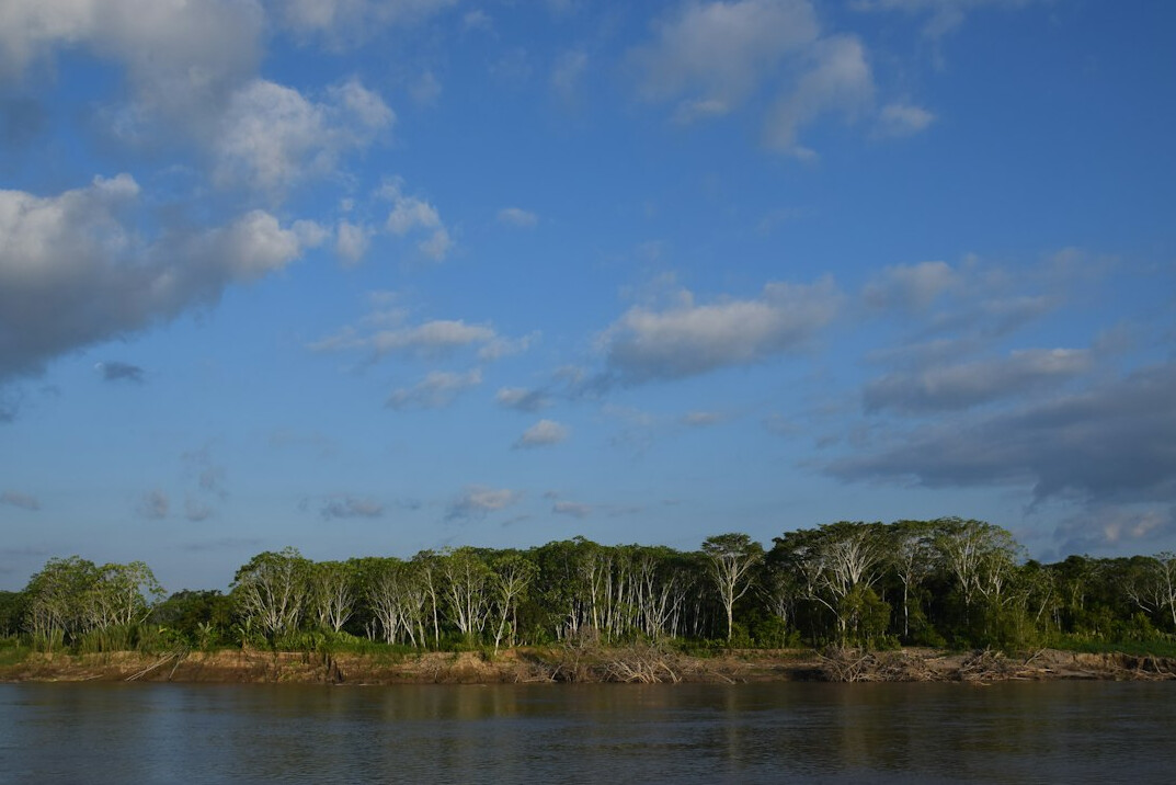 amazon rainforest deforestation